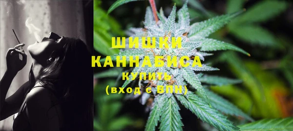 молекула духа Пестово