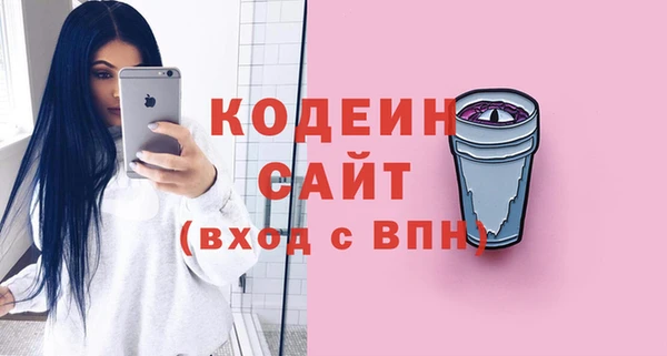 молекула духа Пестово