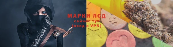 молекула духа Пестово