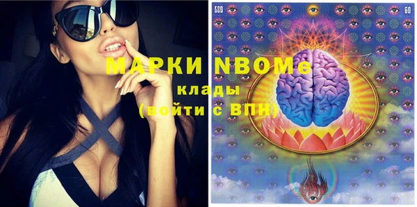 молекула духа Пестово