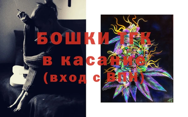 молекула духа Пестово