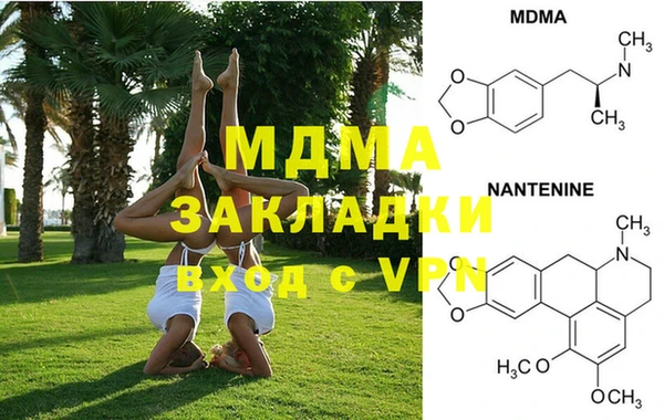 молекула духа Пестово