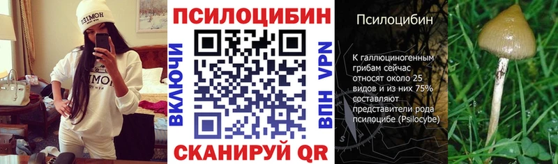 площадка формула  blacksprut сайт  Сергач  Псилоцибиновые грибы Psilocybe 